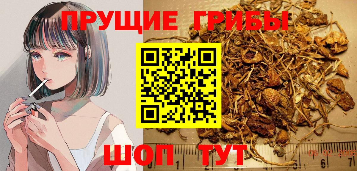 Псилоцибиновые грибы Psilocybe  Вход с VPN  Азов 
